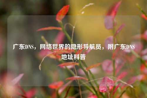 广东DNS，网络世界的隐形导航员，附广东DNS地址科普