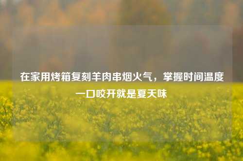 在家用烤箱复刻羊肉串烟火气，掌握时间温度一口咬开就是夏天味