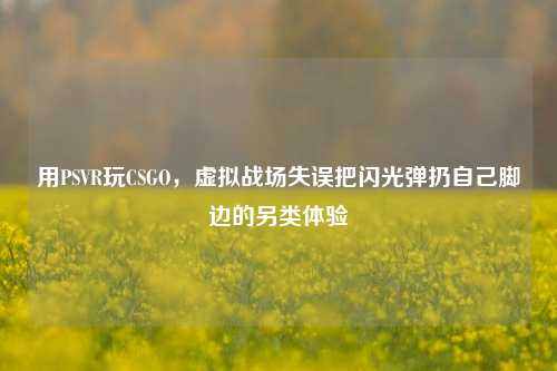 用PSVR玩CSGO，虚拟战场失误把闪光弹扔自己脚边的另类体验