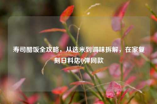 寿司醋饭全攻略,从选米到调味拆解,在家复刻日料店Q弹同款