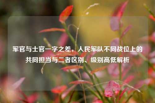 军官与士官一字之差,人民军队不同战位上的共同担当与二者区别、级别高低解析
