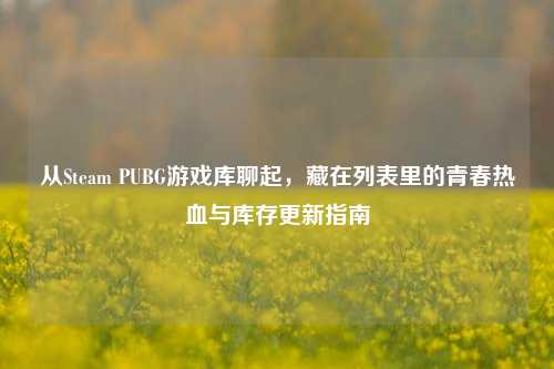 从Steam PUBG游戏库聊起,藏在列表里的青春热血与库存更新指南