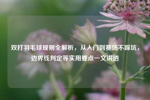 双打羽毛球规则全解析,从入门到赛场不踩坑,边界线判定等实用要点一文讲透