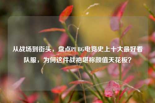 从战场到街头，盘点PUBG电竞史上十大最好看队服，为何这件战袍堪称颜值天花板？