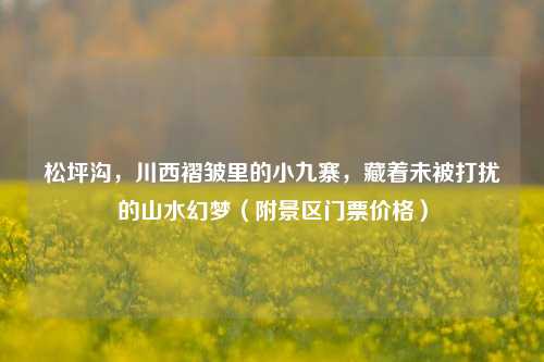 松坪沟,川西褶皱里的小九寨,藏着未被打扰的山水幻梦(附景区门票价格)