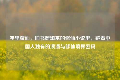 字里藏仙，旧书摊淘来的修仙小说里，藏着中国人独有的浪漫与修仙境界密码