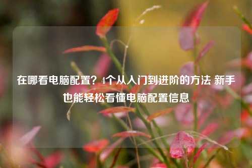 在哪看电脑配置?4个从入门到进阶的方法 新手也能轻松看懂电脑配置信息