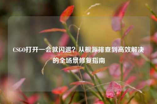 CSGO打开一会就闪退?从根源排查到高效解决的全场景修复指南