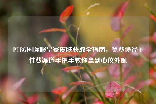PUBG国际服皇家皮肤获取全指南,免费途径+付费渠道手把手教你拿到心仪外观