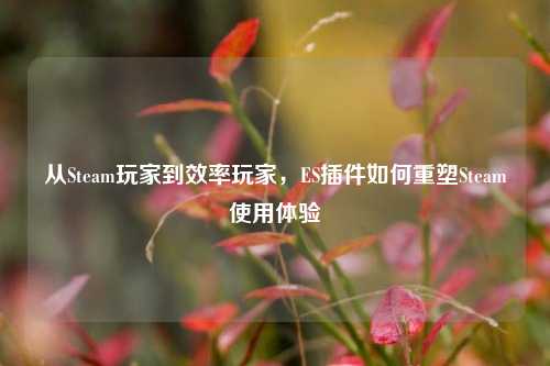 从Steam玩家到效率玩家,ES插件如何重塑Steam使用体验