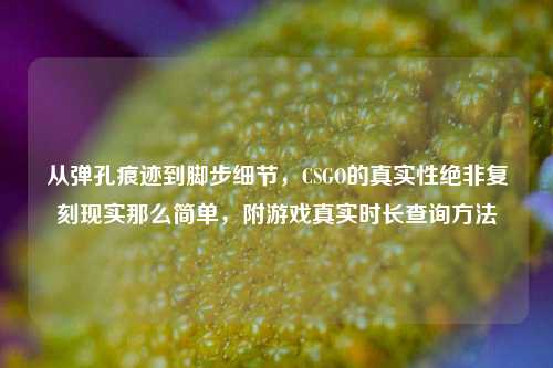从弹孔痕迹到脚步细节,CSGO的真实性绝非复刻现实那么简单,附游戏真实时长查询方法