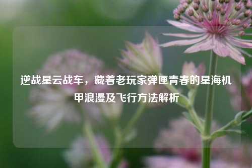 逆战星云战车,藏着老玩家弹匣青春的星海机甲浪漫及飞行方法解析