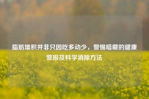 脂肪堆积并非只因吃多动少，警惕暗藏的健康警报及科学消除方法