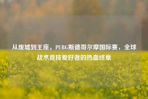 从废墟到王座，PUBG斯德哥尔摩国际赛，全球战术竞技爱好者的热血终章