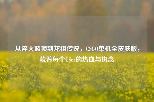从淬火蓝顶到龙狙传说，CSGO单机全皮肤版，藏着每个CSer的热血与执念