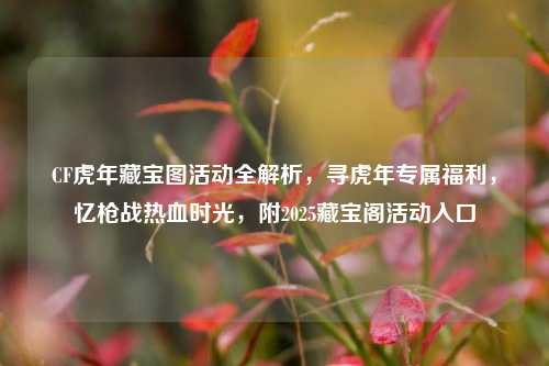 CF虎年藏宝图活动全解析,寻虎年专属福利,忆枪战热血时光,附2025藏宝阁活动入口
