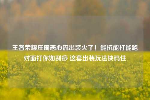 王者荣耀庄周恶心流出装火了！能抗能打能跑对面打你如刮痧 这套出装玩法快码住