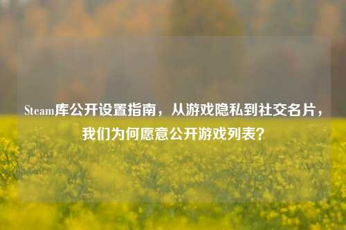 Steam库公开设置指南，从游戏隐私到社交名片，我们为何愿意公开游戏列表？
