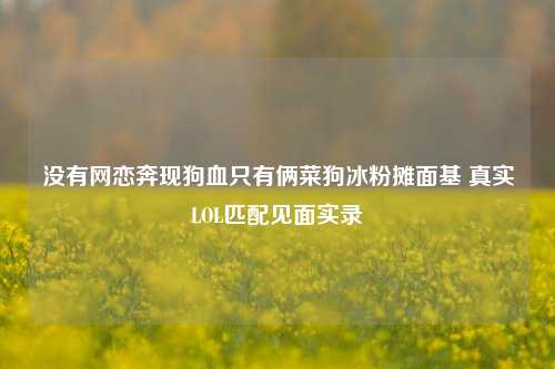 没有网恋奔现狗血只有俩菜狗冰粉摊面基 真实LOL匹配见面实录