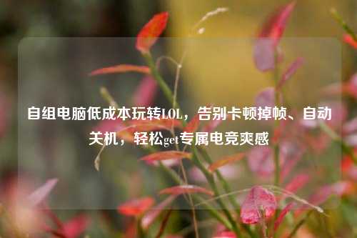 自组电脑低成本玩转LOL，告别卡顿掉帧、自动关机，轻松get专属电竞爽感