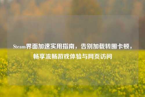 Steam界面加速实用指南，告别加载转圈卡顿，畅享流畅游戏体验与网页访问