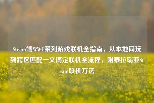 Steam端WWE系列游戏联机全指南，从本地同玩到跨区匹配一文搞定联机全流程，附泰拉瑞亚Steam联机方法