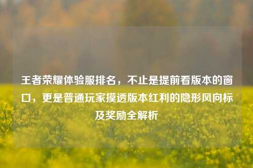 王者荣耀体验服排名，不止是提前看版本的窗口，更是普通玩家摸透版本红利的隐形风向标及奖励全解析