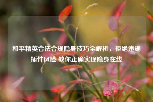 和平精英合法合规隐身技巧全解析，拒绝违规插件风险 教你正确实现隐身在线