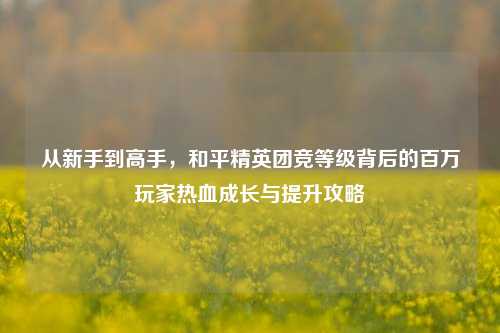 从新手到高手，和平精英团竞等级背后的百万玩家热血成长与提升攻略