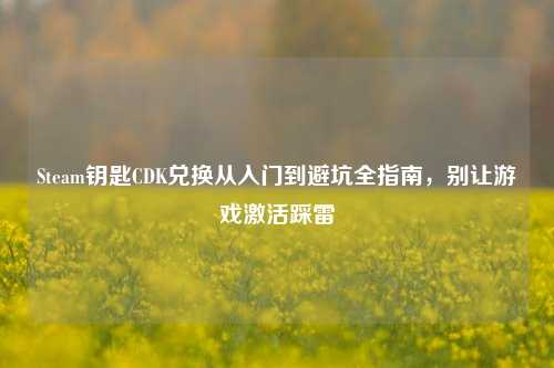 Steam钥匙CDK兑换从入门到避坑全指南，别让游戏激活踩雷