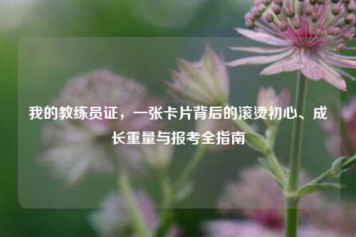 我的教练员证，一张卡片背后的滚烫初心、成长重量与报考全指南