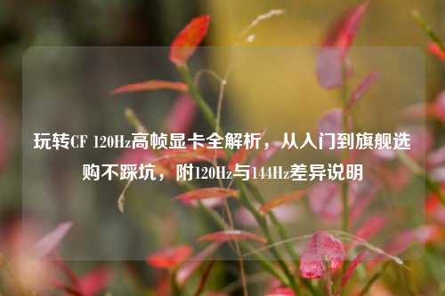 玩转CF 120Hz高帧显卡全解析，从入门到旗舰选购不踩坑，附120Hz与144Hz差异说明