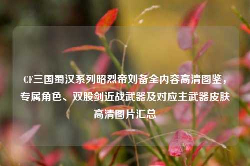 CF三国蜀汉系列昭烈帝刘备全内容高清图鉴，专属角色、双股剑近战武器及对应主武器皮肤高清图片汇总