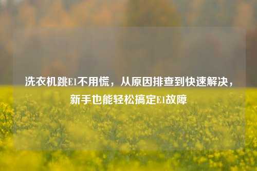 洗衣机跳E1不用慌，从原因排查到快速解决，新手也能轻松搞定E1故障