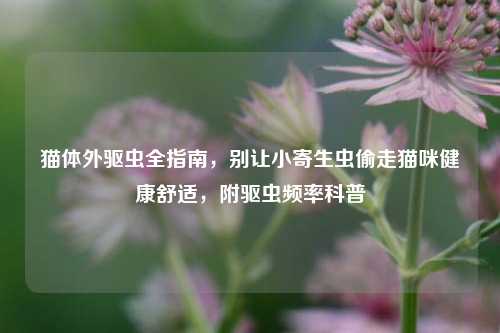 猫体外驱虫全指南，别让小寄生虫偷走猫咪健康舒适，附驱虫频率科普