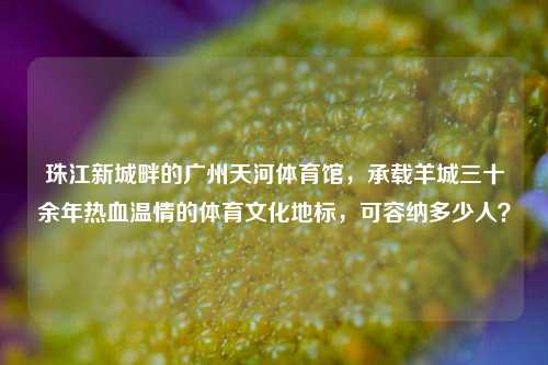 珠江新城畔的广州天河体育馆，承载羊城三十余年热血温情的体育文化地标，可容纳多少人？