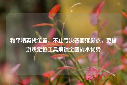 和平精英找位置，不止寻决赛圈落脚点，更借游戏定位工具解锁全图战术优势