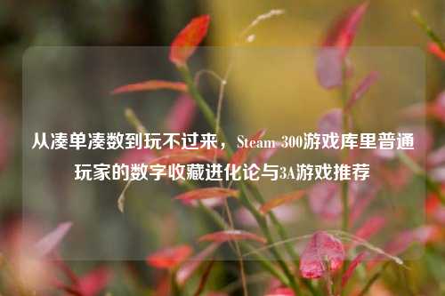 从凑单凑数到玩不过来，Steam 300游戏库里普通玩家的数字收藏进化论与3A游戏推荐
