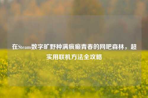在Steam数字旷野种满疯癫青春的网吧森林，超实用联机方法全攻略