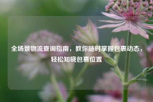 全场景物流查询指南，教你随时掌握包裹动态，轻松知晓包裹位置