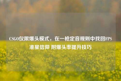 CSGO仅限爆头模式，在一枪定音规则中找回FPS准星信仰 附爆头率提升技巧