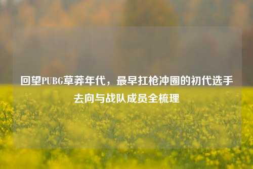 回望PUBG草莽年代，最早扛枪冲圈的初代选手去向与战队成员全梳理