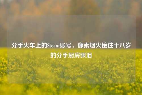 分手火车上的Steam账号，像素烟火接住十八岁的分手厨房眼泪