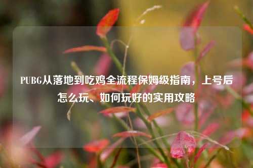 PUBG从落地到吃鸡全流程保姆级指南，上号后怎么玩、如何玩好的实用攻略