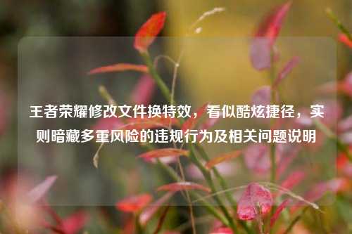 王者荣耀修改文件换特效，看似酷炫捷径，实则暗藏多重风险的违规行为及相关问题说明