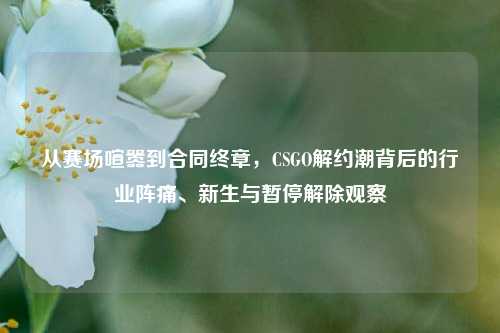 从赛场喧嚣到合同终章,CSGO解约潮背后的行业阵痛、新生与暂停解除观察