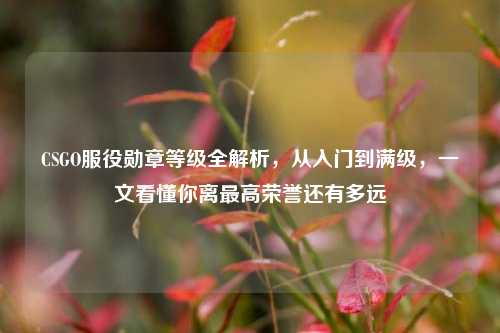 CSGO服役勋章等级全解析,从入门到满级,一文看懂你离最高荣誉还有多远