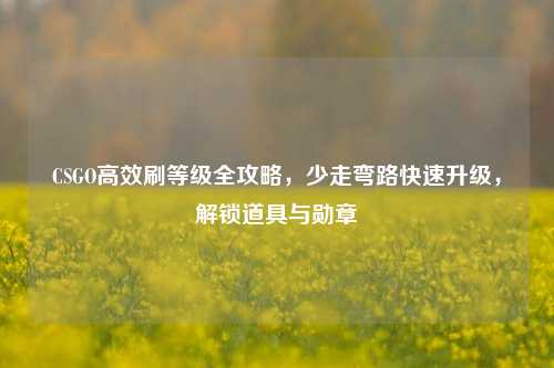 CSGO高效刷等级全攻略,少走弯路快速升级,解锁道具与勋章