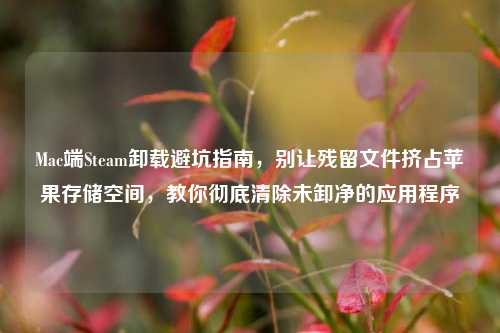 Mac端Steam卸载避坑指南，别让残留文件挤占苹果存储空间，教你彻底清除未卸净的应用程序