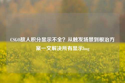 CSGO敌人积分显示不全？从触发场景到根治方案一文解决所有显示bug
